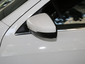 2017230TSI DSGm (ji)^