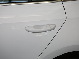 2017230TSI DSGm (ji)^