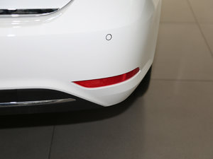 2017230TSI DSGm (ji)^