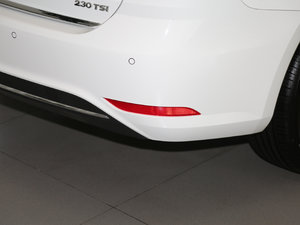 2017230TSI DSGm (ji)^