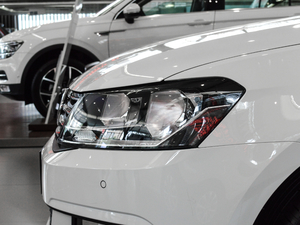 2017180TSI DSGm (ji)^