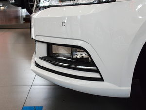 2017180TSI DSGm (ji)^