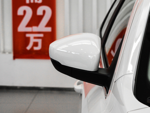 2017180TSI DSGm (x)(ji)^