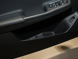 2017230TSI DSGA ǰTg