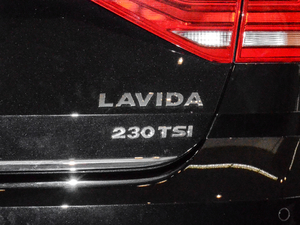 2017230TSI DSGm (ji)^