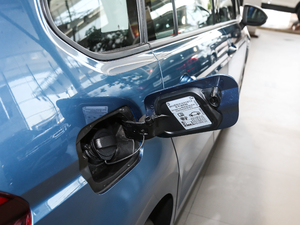 2018280TSI L(fng)а 7 V w