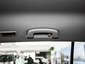 2018280TSI L(fng)а 7 (gu)V g