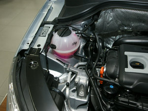 2010款2.0TSI 自动四驱菁英版 其它