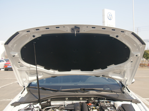 2018230TSI DSGL(fng)а 