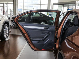 2018230TSI DSGL(fng)а g