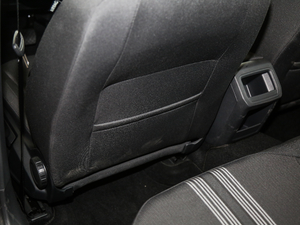 2018230TSI DSGL(fng)а g