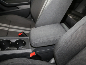 2018230TSI DSGL(fng)а g