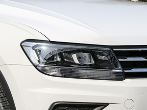 2018330TSI (q)A (x)(ji)^