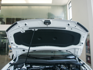 2018330TSI (q)L(fng)а 