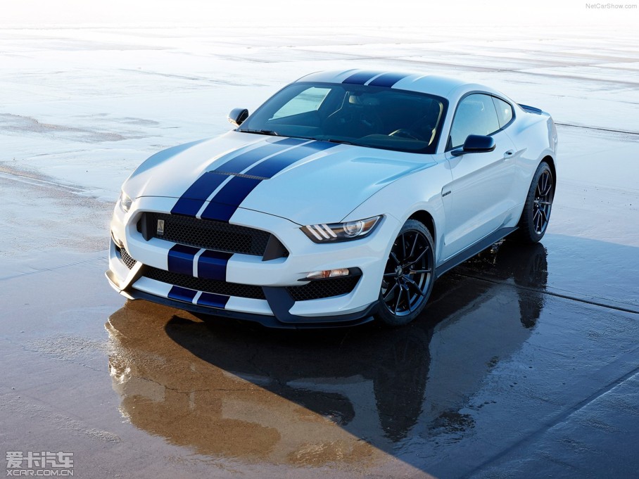 2015Mustang GT350 Shelby