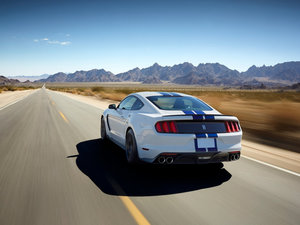 2015GT350 Shelby w^