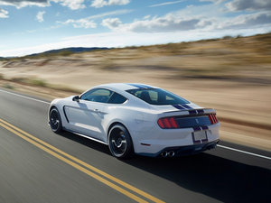2015GT350 Shelby w^