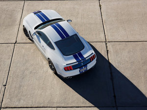 2015GT350 Shelby w^