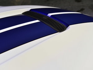 2015GT350 Shelby (x)(ji)^