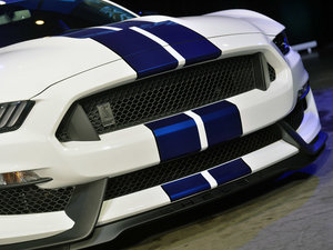 2015GT350 Shelby (x)(ji)^