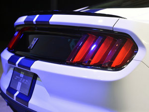 2015GT350 Shelby (x)(ji)^