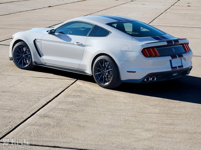 mustang图片