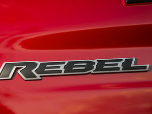 20151500 Rebel ϸ