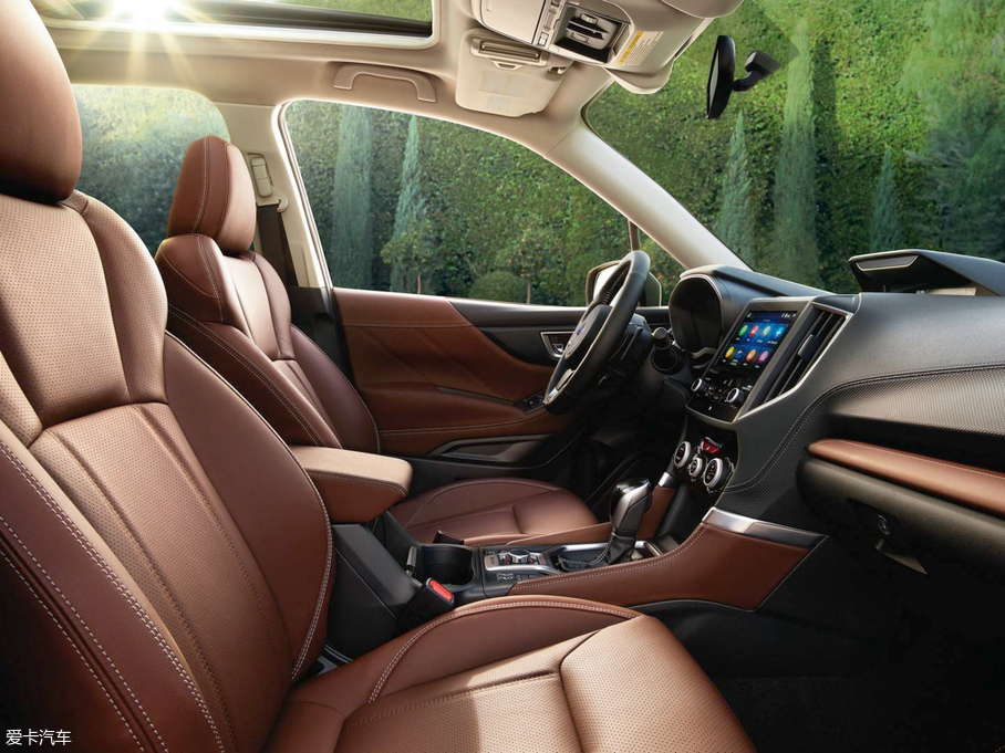 2019��ɭ���� ������