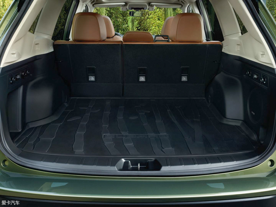 2019��ɭ���� ������