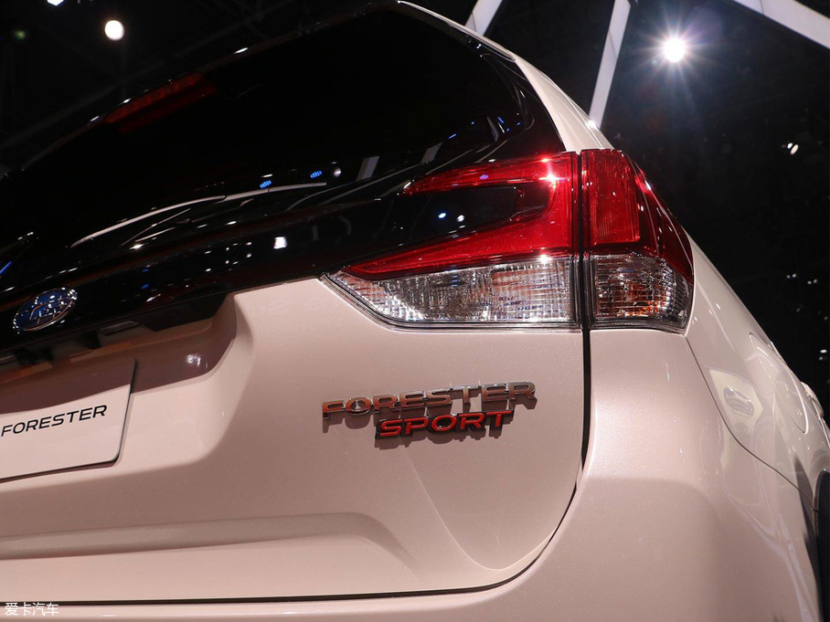 2019��ɭ���� �\����