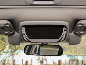 20192.0i ŞEyeSight g