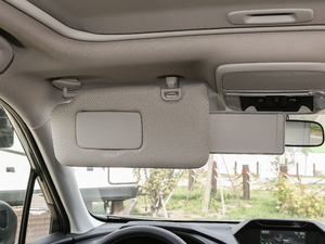 20192.0i ŞEyeSight g