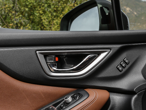 20192.0i ŞEyeSight g