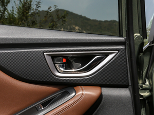 20192.0i ŞEyeSight g