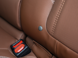 20192.0i ŞEyeSight g