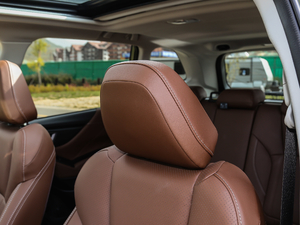 20192.0i ŞEyeSight g