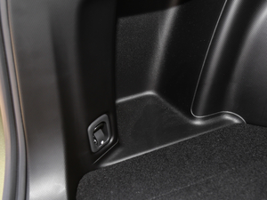 20192.0i ŞEyeSight g