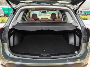 20192.0i ŞEyeSight g