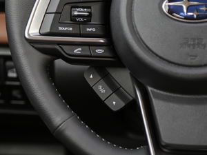 20192.0i ŞEyeSight п؅^