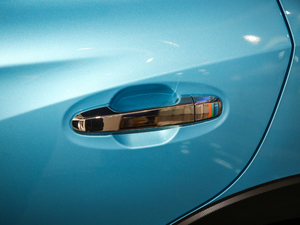 20192.0i Ş EyeSight (gu)V (x)(ji)^