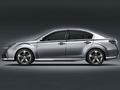 2009����ʨ�������