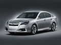 2009����ʨ�������