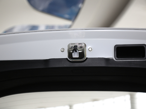 2020Ŀ 2.0i ȫ(q)A EyeSight g