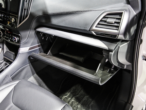 20212.0i Ş EyeSight 