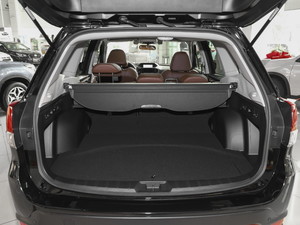 20212.0i \(yn)(dng) EyeSight  g