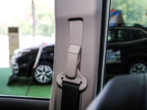 20212.0i Ş EyeSight g