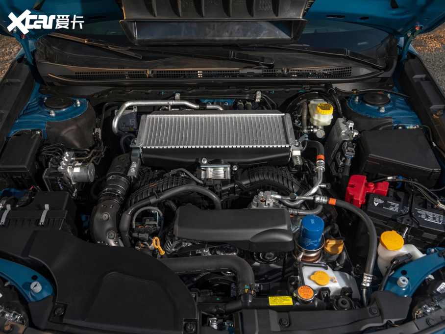 2021����� Wilderness Edition