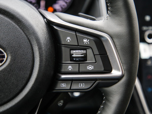 2021\Ӱ EyeSight п؅^