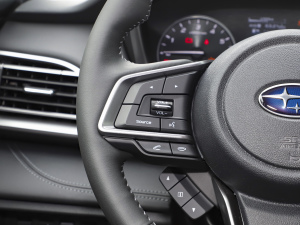 2021Ş EyeSight п؅^