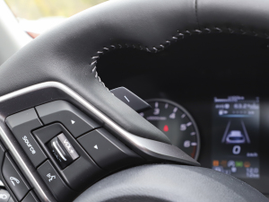 2021Ş EyeSight п؅^